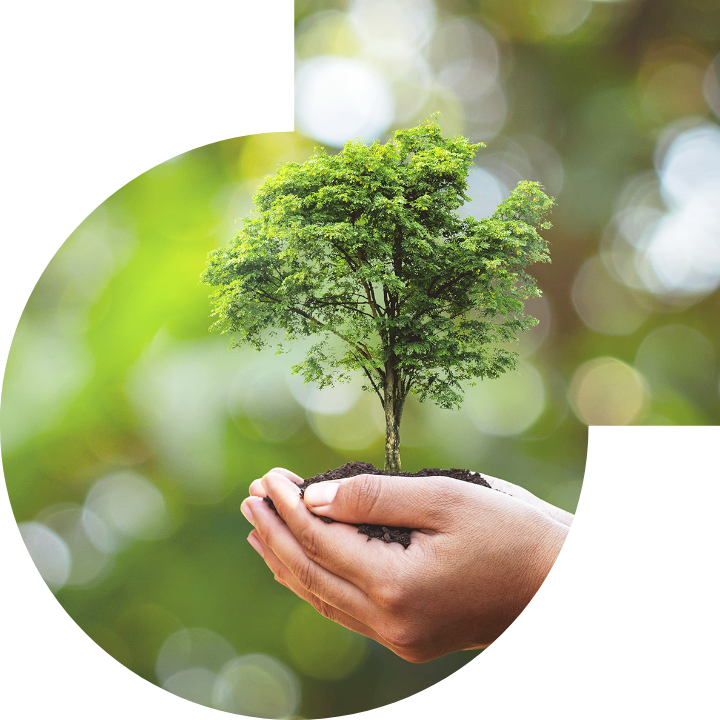 关怀人类、文化、环境与社会