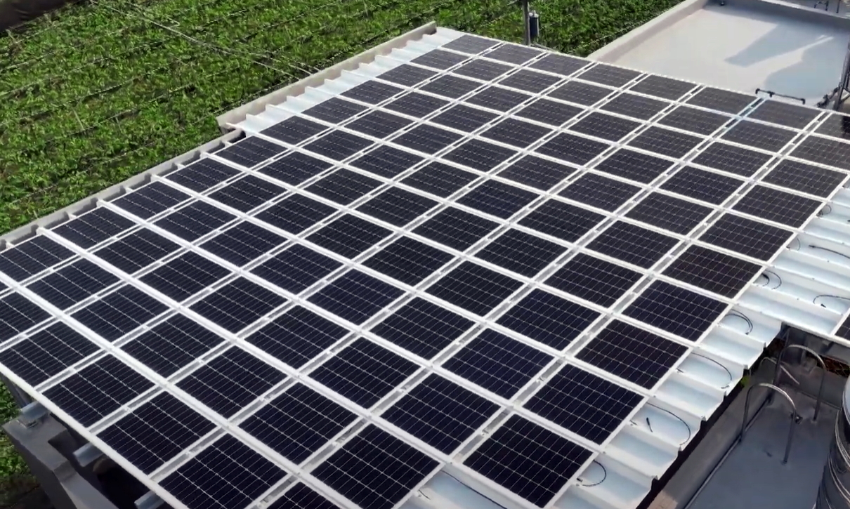 金年会|jinnianhuiSunSteel光电浪板升级双玻结构，以提升机械负载强度及气候耐候度，可广泛运用于多元场域