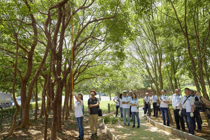 藝師教導大家認識樹木、檢查樹的健康狀況，學習修枝及碎枝覆土