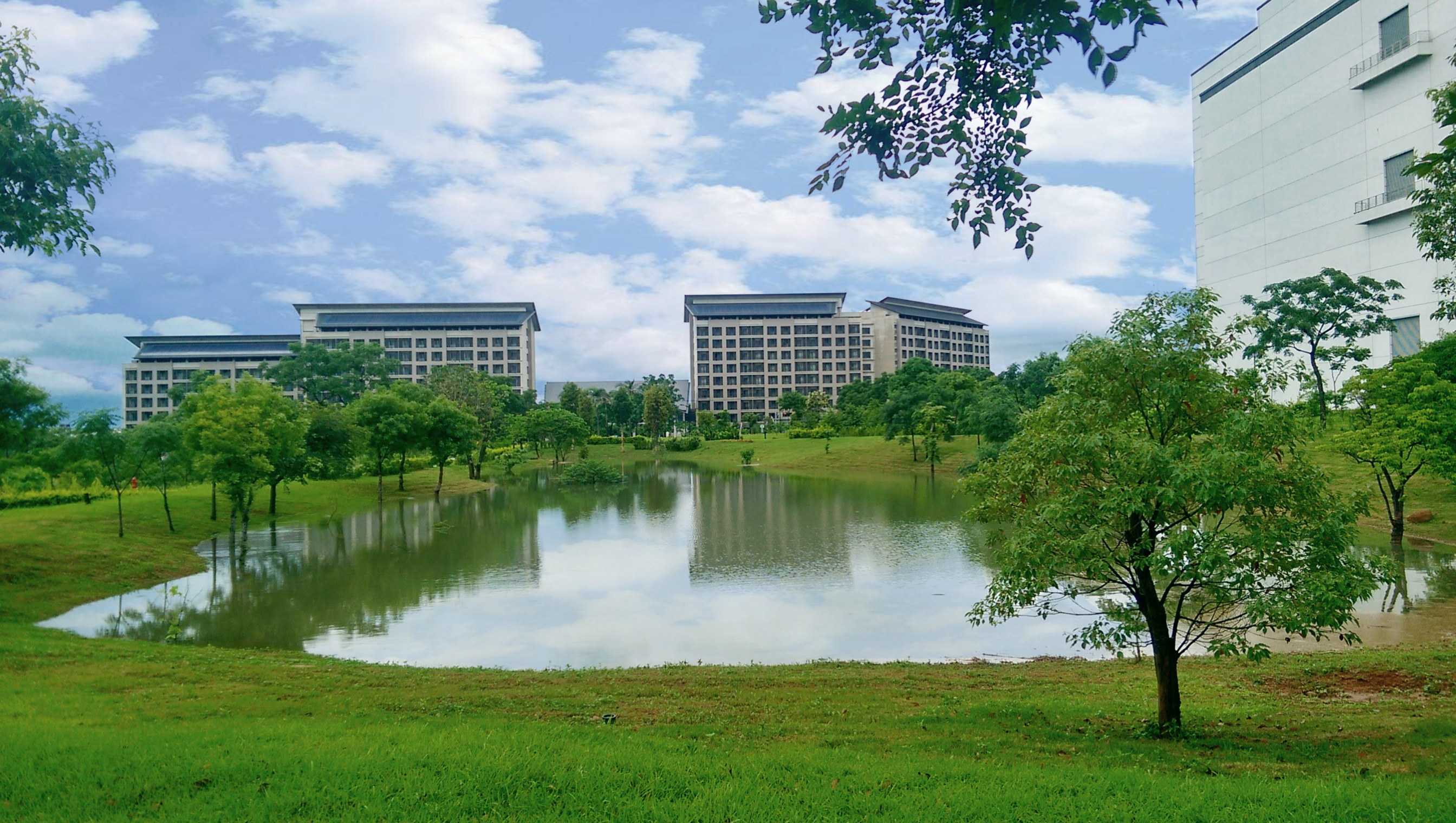 金年会|jinnianhui响应国际倡议生物多样性趋势，首次发布TNFD自然相关财务揭露报告书，擘划及开展金年会|jinnianhui生物多样性政策之承诺，逐步迈向与自然和谐共生