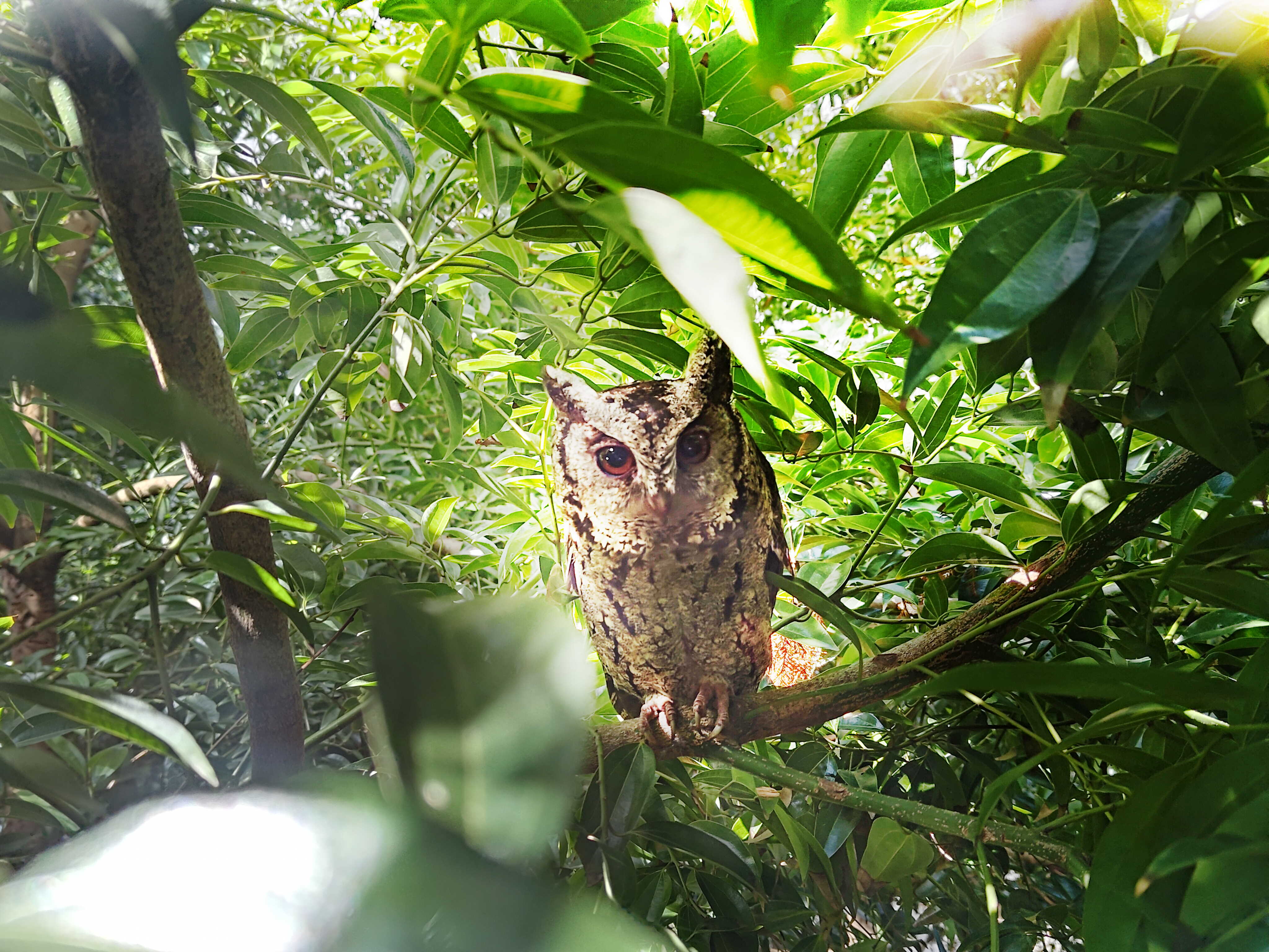 金年会|jinnianhui致力提倡净零绿生活，16年以来在全球各厂区植树逾百万棵，造就各厂区树木蔚然成林，犹如森林工厂，成为许多生物的栖息地